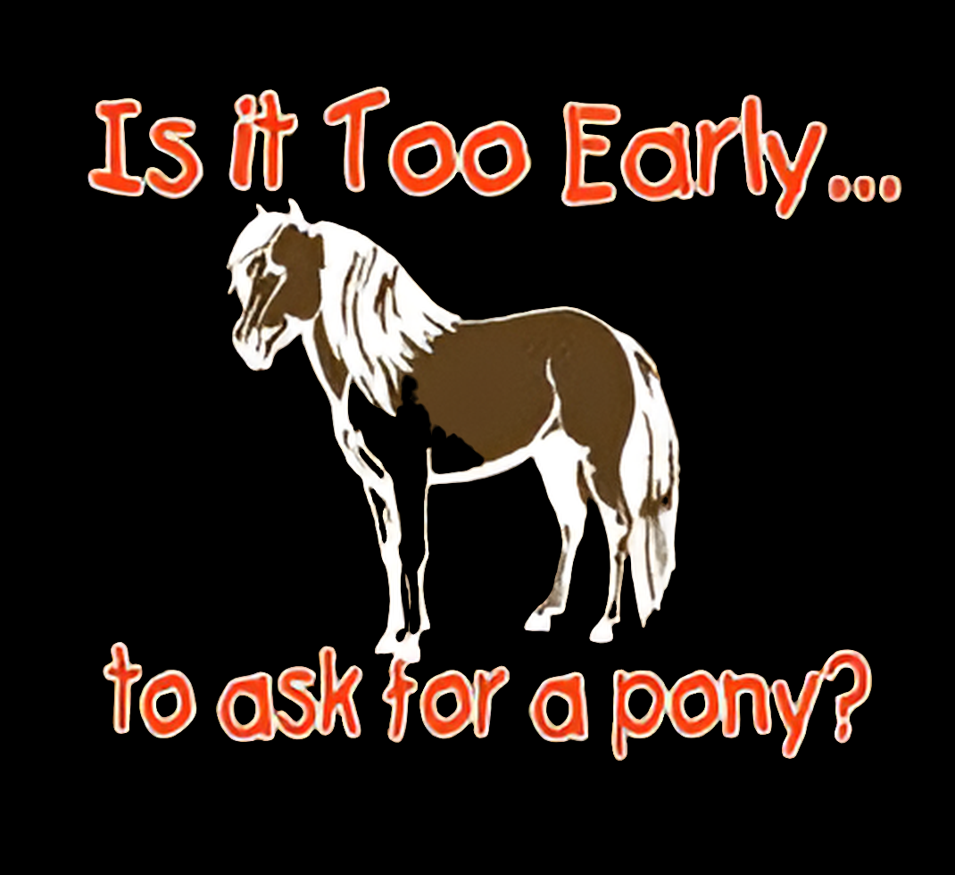 Ask For A Pony - T Shirt