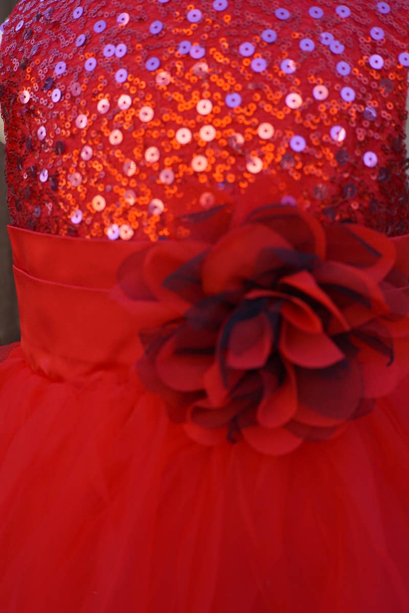 Valentine Beaded Sequin Tulle Dress