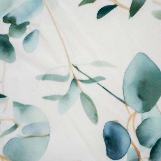 Eucalyptus Dreams/ Baby Minky Blanket