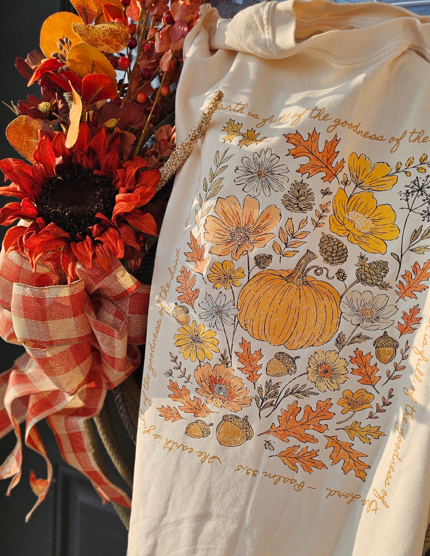 Goodness of the Lord  Christian Fall T Shirt